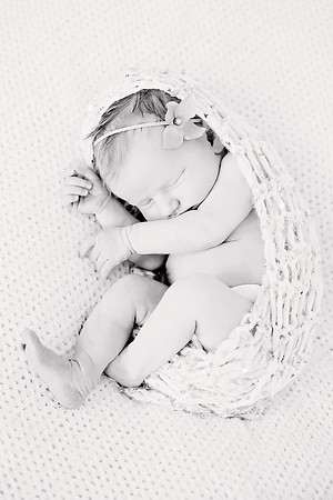 Derenge Newborn 2016-249