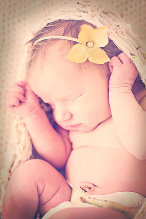 Derenge Newborn 2016-260