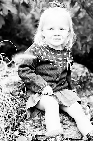 Laken Fall 2011-16