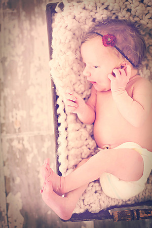 Derenge Newborn 2016-329