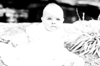 Lily and Miller-5