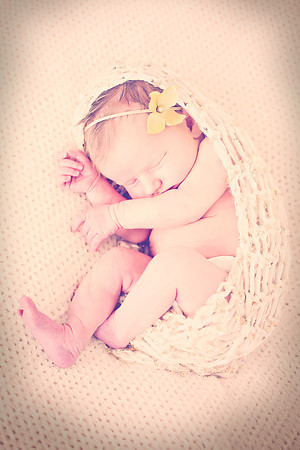 Derenge Newborn 2016-248