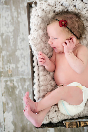 Derenge Newborn 2016-328