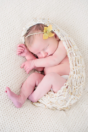 Derenge Newborn 2016-247