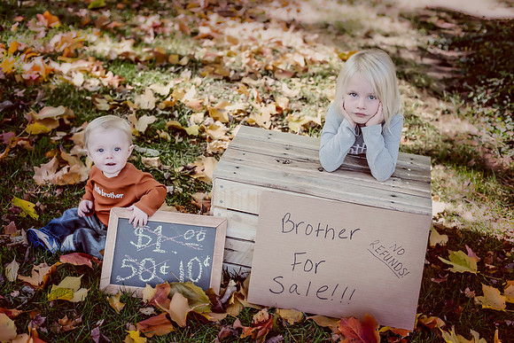Nimmo Fall 2013-2